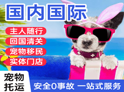 西安航空快递国际宠物托运 【国